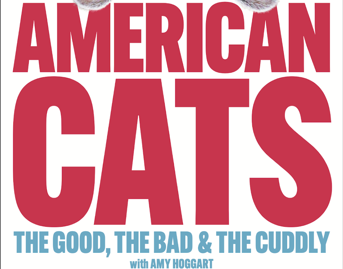 American Cats: The Good, The Bad, And The Cuddly